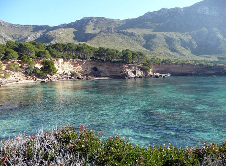 pescaturismomallorca.com excursiones en barco a cabo Farrutx Mallorca