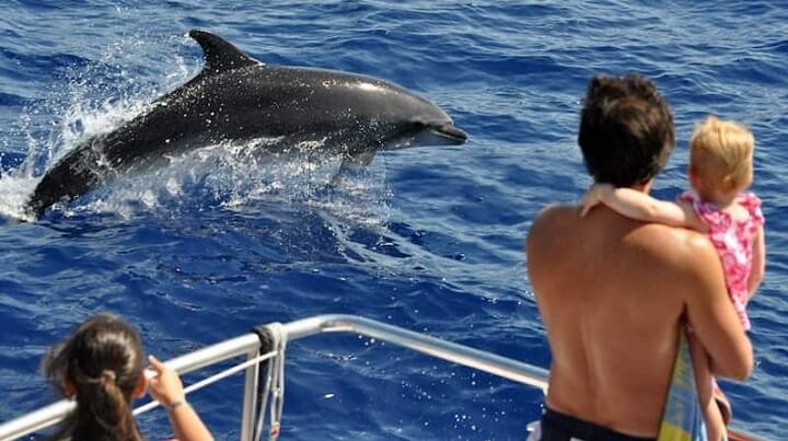 pechetourisme-majorque.fr Excursion pour voir les dauphins de Porto Cristo