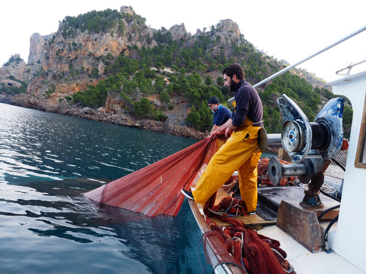 www.pescaturismomallorca.com excursiones en barco en Mallorca con Passador