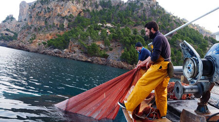 Pescador per un dia amb Pescaturisme Mallorca