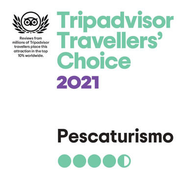 Pechetourisme Majorque remporte le prix Travellers' Choice de Tripadvisor